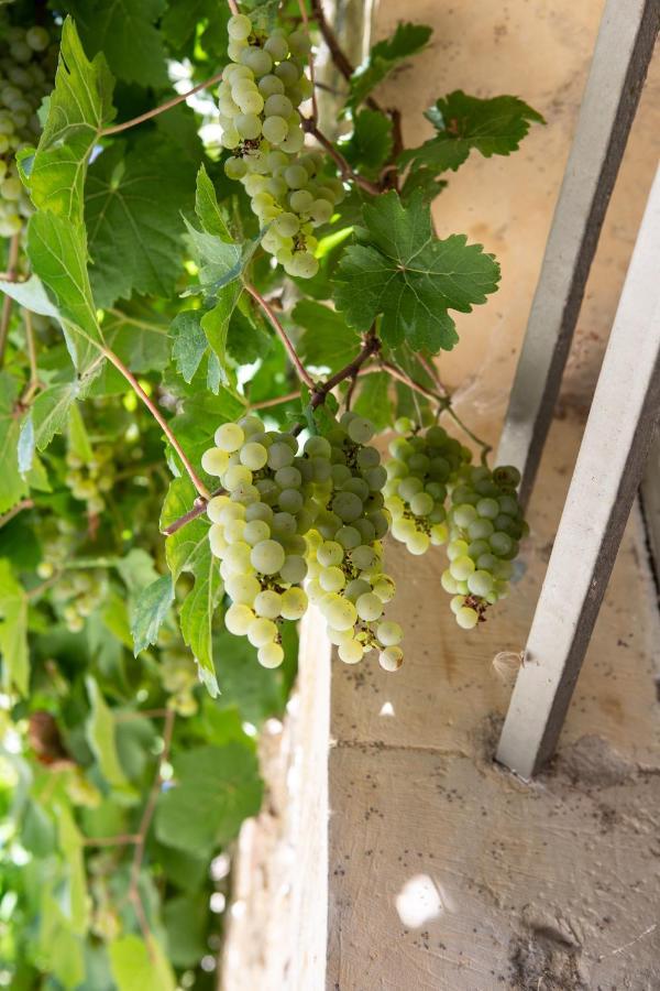 La Ferme De Planchevienne Bed and Breakfast Magny-Cours Εξωτερικό φωτογραφία